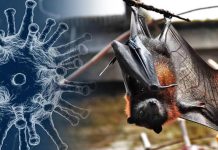 নিওকোভ : যা বলছে বিশ্ব স্বাস্থ্য সংস্থা